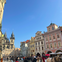 Scenes from my daily walk to class!